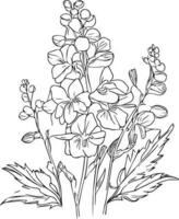 Hand-drawn delphinium flower bouquet vector sketch illustration outline larkspur flower drawing, larkspur line drawing, botanical leaf branch collection isolated on white, delphinium coloring page