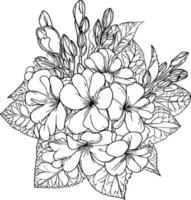 Primerose flower drawing, vector sketch hand drew illustration artistic, simplicity, coloring pages, printable primula flower coloring pages, flower coloring sheet, isolated on white background.