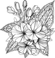 Hand-drawn primrose flower, primula flower bouquet, vector sketch illustration engraved ink art botanical leaf branch collection isolated on white background coloring page and books. primula line art.