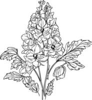 Bouquet of delphinium flower hand drawn pencil sketch coloring page and book for adults isolated on white background, , outline larkspur flower drawing tattooing, delphinium illustration ink art. vector