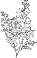 Delphinium tattoo black and white, pencil delphinium drawing, July Birth Flower Larkspur Drawing, illustration larkspur pencil art flower, delphinium flower drawing, vector