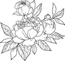 Bouquet of peony flower hand drawn pencil sketch, coloring page, and book for adults isolated on white background floral element tattooing, illustration ink art, blossom peony, spring collect. vector