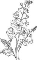 simple miimilis delphinium flower tattoo drawing, artistic hand-drawn pencil sketch coloring page with blossom larskapur branches sticl of leaf natural floral collection, small tatto with delphinium. vector