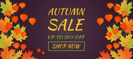 Autumn sale banner. Hello autumn. Autumn maple eaves with branch of physalis. vector