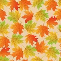 Seamless pattern with hand drawn colorful maple leaves. vector