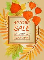 Autumn sale banner. Hello autumn. Autumn maple leaves, rowan leaves with branch of physalis vector