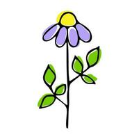 Vector cartoon drawing of a camomile on a white background. eps 10