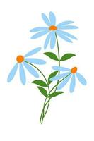 bouquet of three blue summer daisies on a white background vector