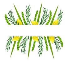 Sukkot greeting card with blank space for congratulation text. Feast of Tabernacles, Festival of Ingathering. Traditional symbols is etrog - citron, lulav - palm branch, hadas - myrtle, arava - willow vector