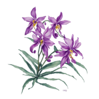 ai généré, aquarelle fleur png