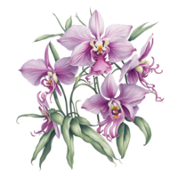 ai généré, aquarelle fleur png