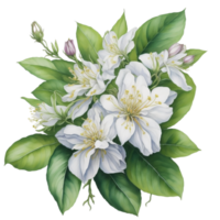 Ai Generated, Watercolor Flower png