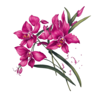 ai generado, acuarela flor png