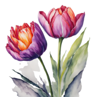 ai généré, aquarelle fleur png