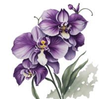 ai généré, aquarelle fleur png