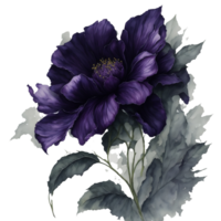 ai généré, aquarelle fleur png