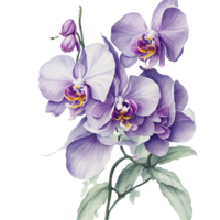 ai généré, aquarelle fleur png