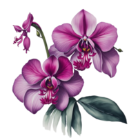 ai généré, aquarelle fleur png