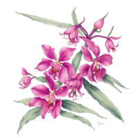 ai généré, aquarelle fleur png