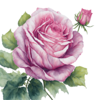 Ai Generated, Watercolor Flower png