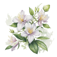 ai generado, acuarela flor png