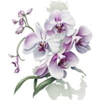 Ai Generated, Watercolor Flower png