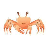 Vector cartoon illustration of a cute  crab raising its claws isolated on a white background.