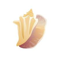 vector seashell icon. Colorful shellfish isolated on white background.