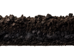 black soil isolated on transparent background ,generative ai png