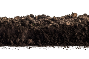 black soil isolated on transparent background ,generative ai png