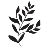 mão desenhado selvagem flor png