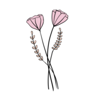 Hand Drawn Wild Flower Png