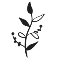 Hand gezeichnet wild Blume png