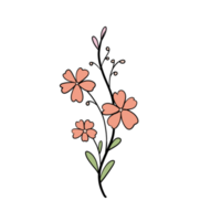 mão desenhado selvagem flor png