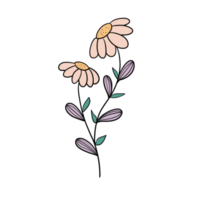 mão desenhado selvagem flor png