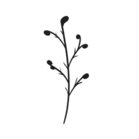 Hand Drawn Wild Flower Png