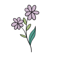 mão desenhado selvagem flor png