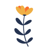 Hand gezeichnet wild Blume png