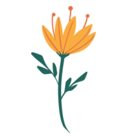 Hand gezeichnet wild Blume png