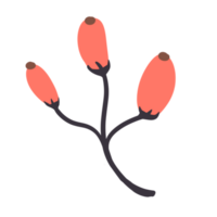 Hand gezeichnet wild Blume png