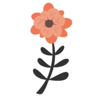 Hand gezeichnet wild Blume png