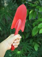 soil spoon and colorful for  garden workker photo