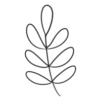 Hand gezeichnet wild Blume png