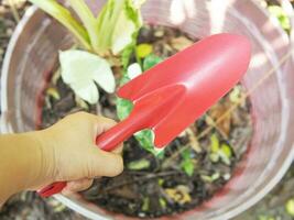 soil spoon and colorful for  garden workker photo