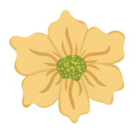 Hand gezeichnet wild Blume png