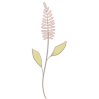 Hand gezeichnet wild Blume png