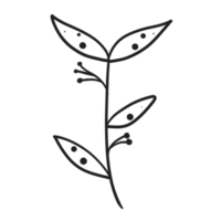 Hand gezeichnet wild Blume png