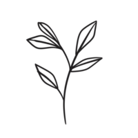 Hand gezeichnet wild Blume png