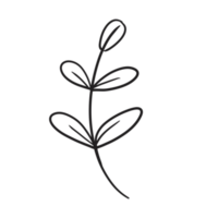 Hand gezeichnet wild Blume png