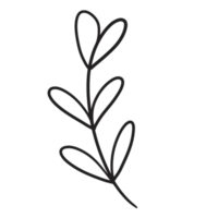 Hand gezeichnet wild Blume png